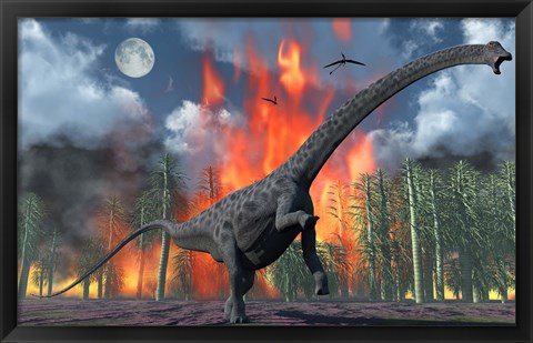 Framed Diplodocus Sauropod Dinosaur Print