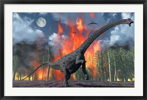 Framed Diplodocus Sauropod Dinosaur Print