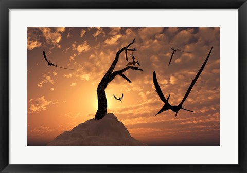 Framed Pteranodons Flying on a Cretaceous Night Print