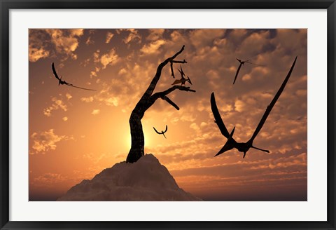 Framed Pteranodons Flying on a Cretaceous Night Print