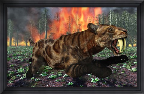 Framed Saber Toothed Tiger Running from Fire Print