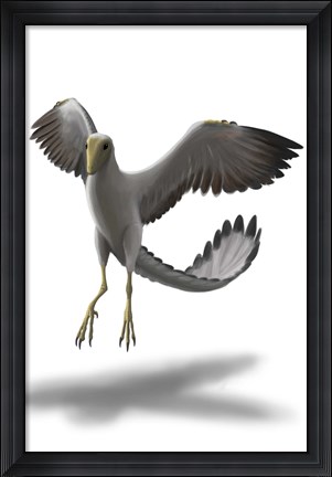 Framed Archaeopteryx Print