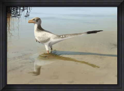 Framed Bambiraptor Feinbergi Print