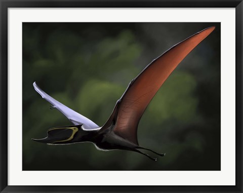 Framed Dsungaripterus Print