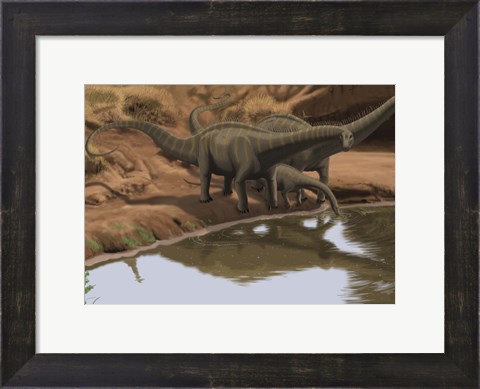 Framed Apatosaurus Dinosaurs Print