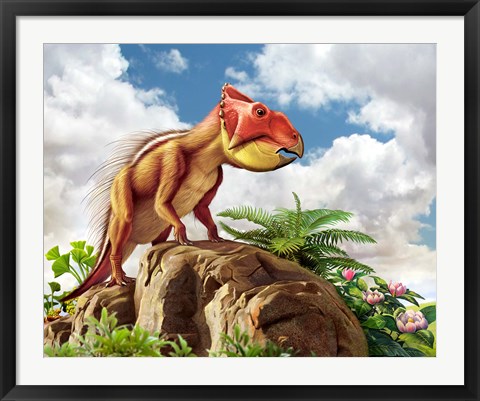 Framed Leptoceratops Print