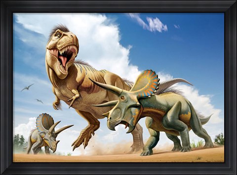 Framed Tyrannosaurus Rex Fighting aTriceratops Print
