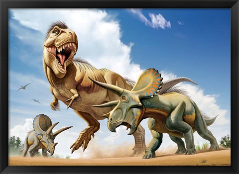 Framed Tyrannosaurus Rex Fighting aTriceratops Print