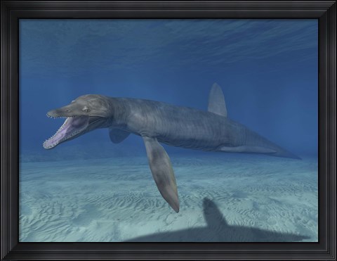 Framed Pliosaurus Kevani Print