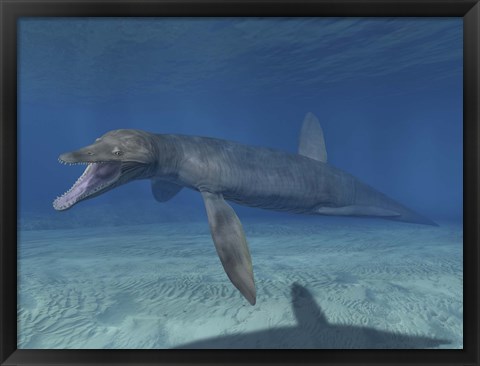 Framed Pliosaurus Kevani Print