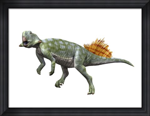 Framed Psittacosaurus Lujiatunensi Print