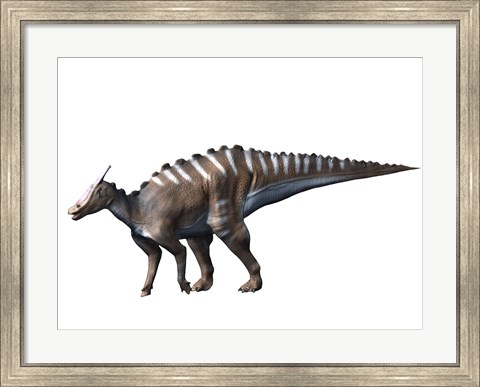 Framed Saurolophus Dinosaur Print