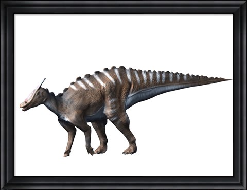 Framed Saurolophus Dinosaur Print