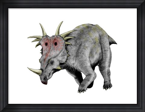 Framed Styracosaurus Dinosaur Print