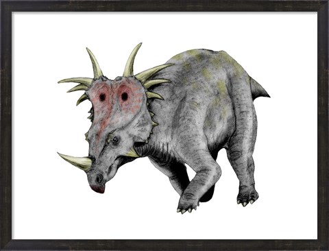 Framed Styracosaurus Dinosaur Print