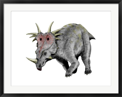 Framed Styracosaurus Dinosaur Print