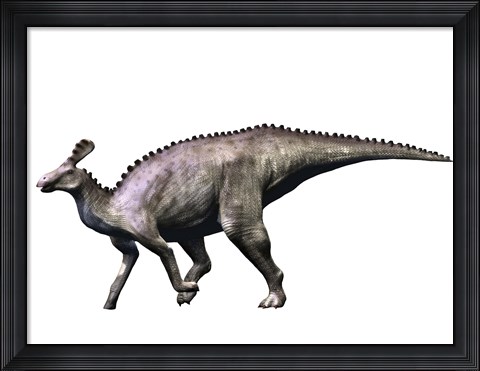 Framed Tsintaosaurus Dinosaur Print