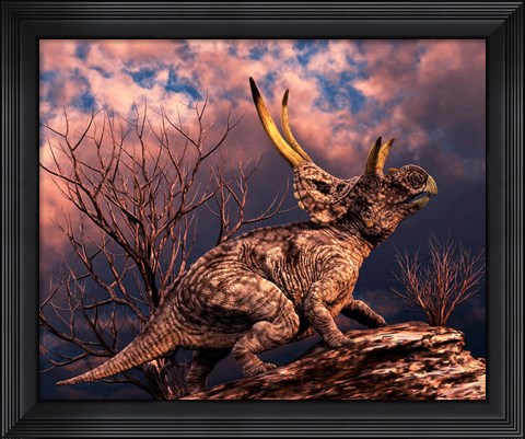 Framed Diabloceratops Print