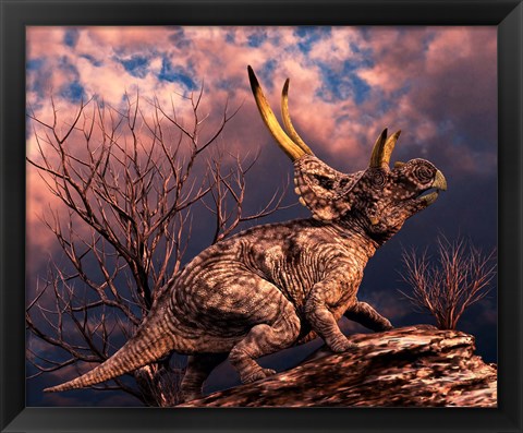 Framed Diabloceratops Print