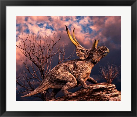 Framed Diabloceratops Print