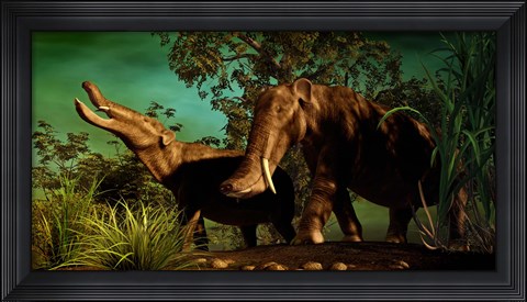 Framed Platybelodon Print