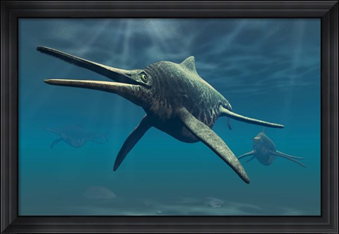 Framed Shonisaurus Print