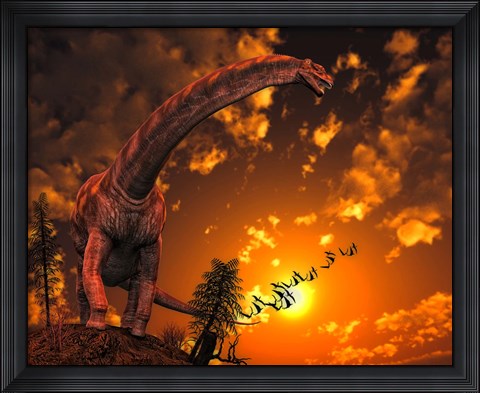 Framed Argentinosaurus Print