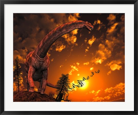 Framed Argentinosaurus Print