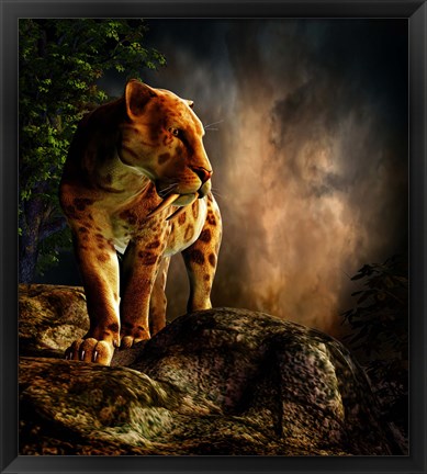 Framed Sabre-toothed Cat Print