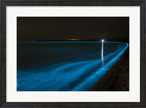 Framed Bioluminescence in Waves in the Gippsland Lakes Print