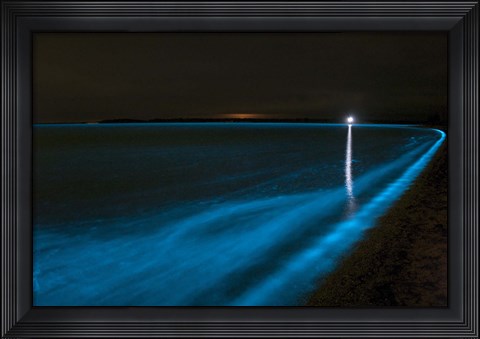 Framed Bioluminescence in Waves in the Gippsland Lakes Print