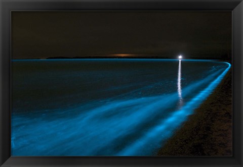 Framed Bioluminescence in Waves in the Gippsland Lakes Print