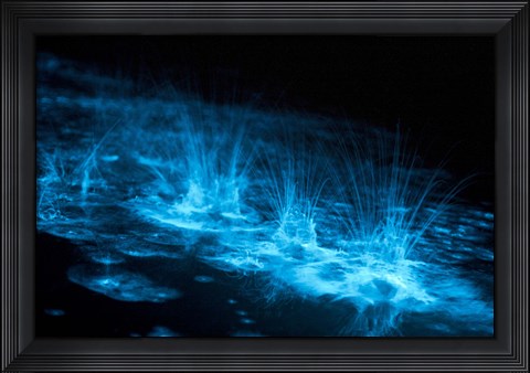 Framed Bioluminescence Splashes in the Gippsland Lakes Print