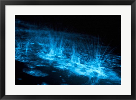 Framed Bioluminescence Splashes in the Gippsland Lakes Print