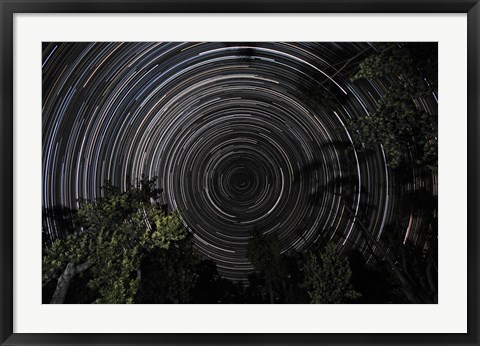 Framed Southern Sky Star Trails Print