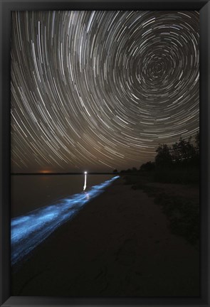 Framed Star Trails over Bioluminescence Print