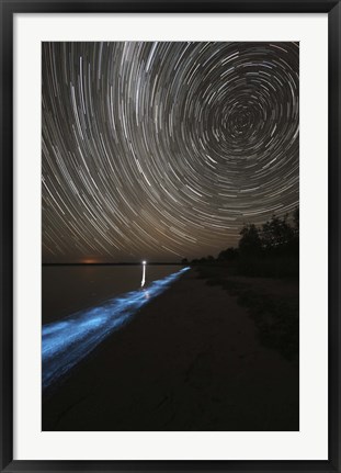 Framed Star Trails over Bioluminescence Print