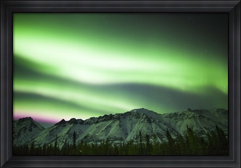 Framed Bright Aurora Borealis over Annie Lake Print