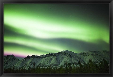 Framed Bright Aurora Borealis over Annie Lake Print