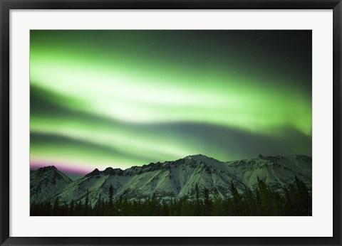 Framed Bright Aurora Borealis over Annie Lake Print