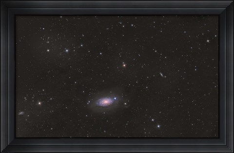 Framed Sunflower Galaxy Print
