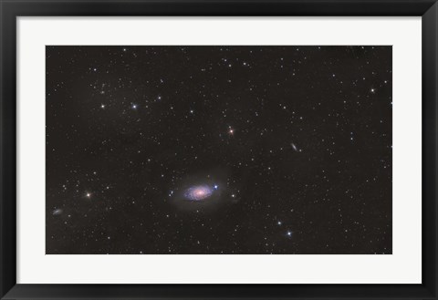 Framed Sunflower Galaxy Print