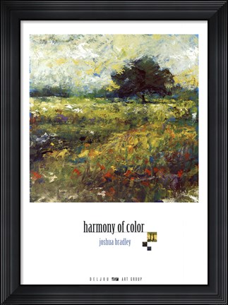 Framed Harmony of Color II Print
