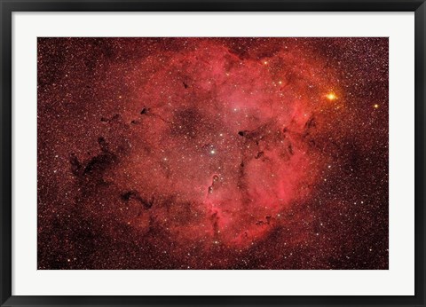 Framed IC 1396 Print