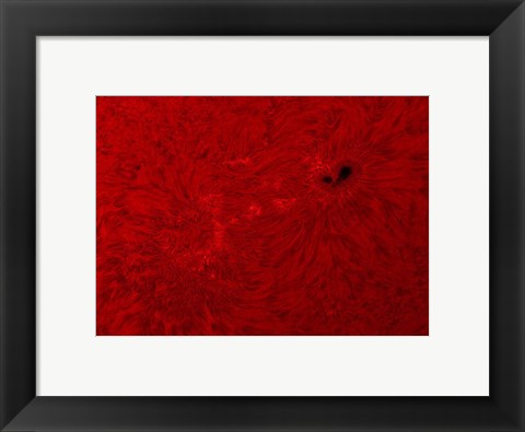Framed H-alpha Sun in Red Print