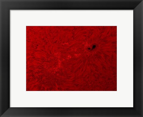 Framed H-alpha Sun in Red Print