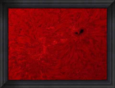Framed H-alpha Sun in Red Print