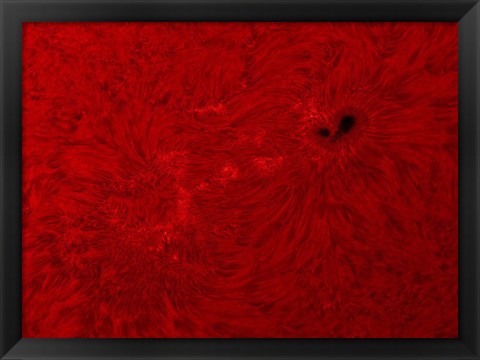 Framed H-alpha Sun in Red Print