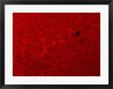 Framed H-alpha Sun in Red Print
