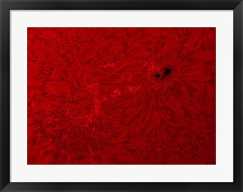 Framed H-alpha Sun in Red Print